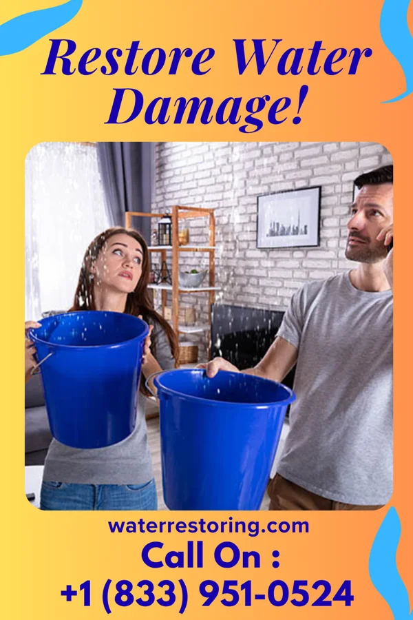 water restoration Expert Water Repair Inc Freelandville